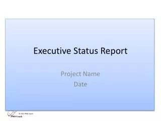 Executive Status Report