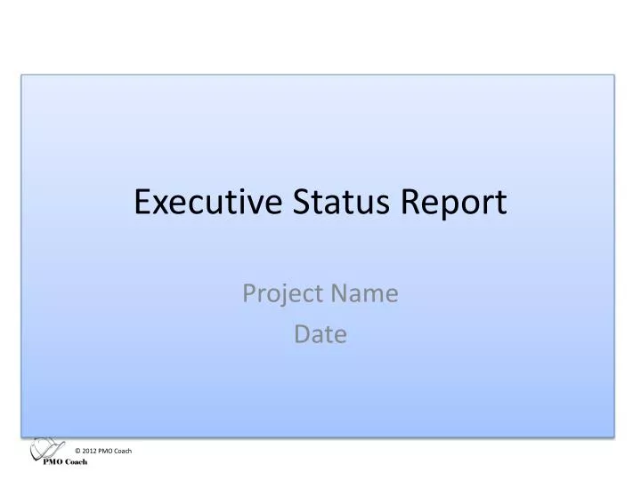 executive status report