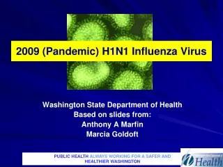2009 (Pandemic) H1N1 Influenza Virus