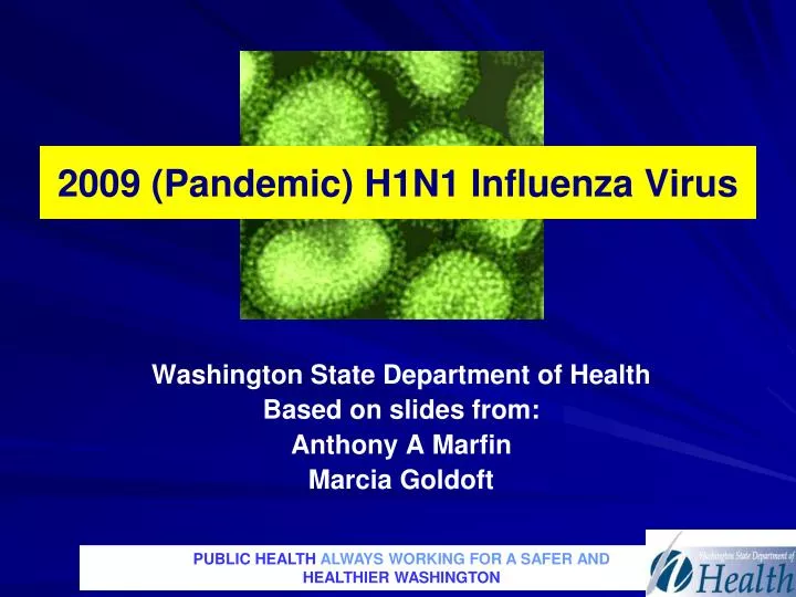 2009 pandemic h1n1 influenza virus