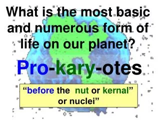 What is the most basic and numerous form of life on our planet?