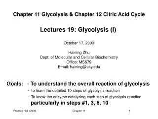 Chapter 11 Glycolysis &amp; Chapter 12 Citric Acid Cycle