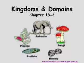 kingdoms domains chapter 18 3