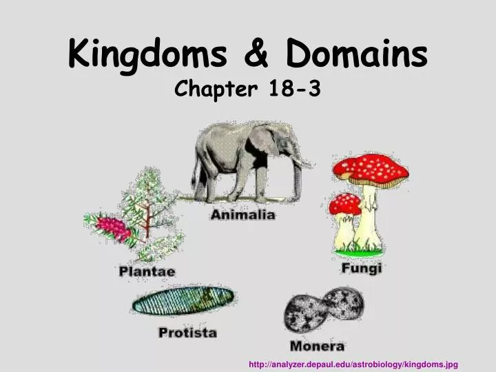 kingdoms domains chapter 18 3