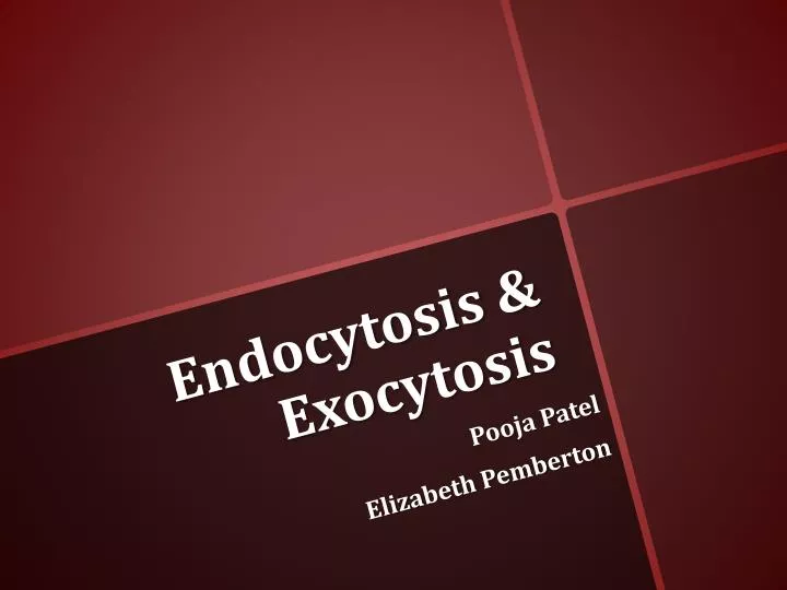 endocytosis exocytosis