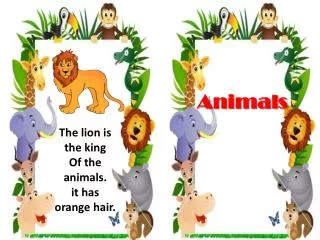 Animals