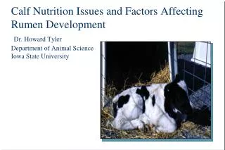 Meeting The Nutrient Requirements of the Calf