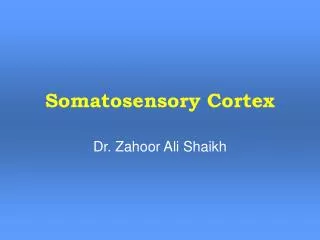 Somatosensory Cortex