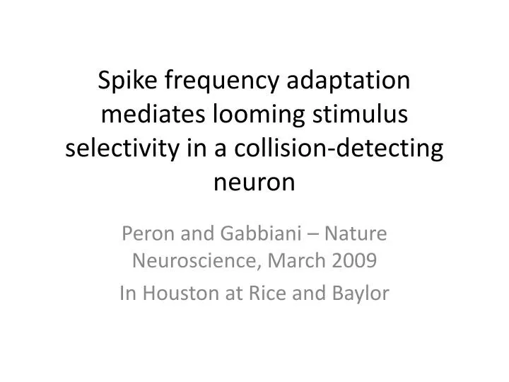 spike frequency adaptation mediates looming stimulus selectivity in a collision detecting neuron