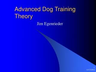 Advanced Dog Training Theory
