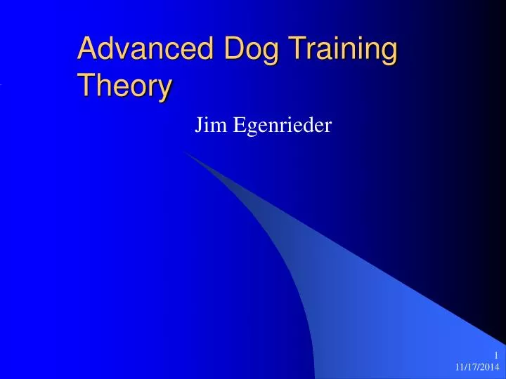 advanced dog training theory