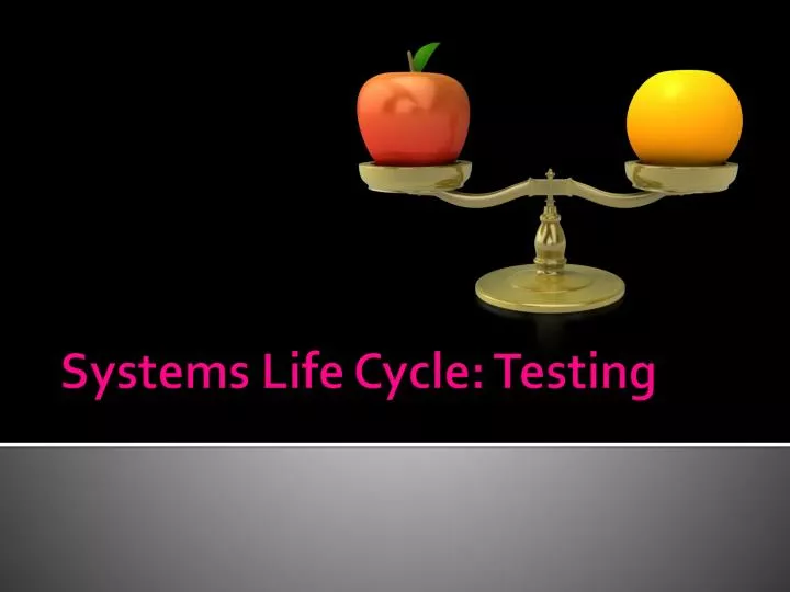 systems life cycle testing