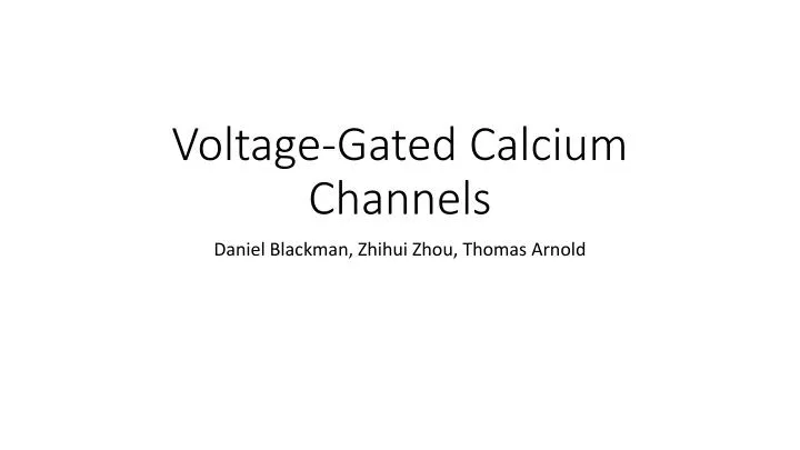 voltage gated calcium channels