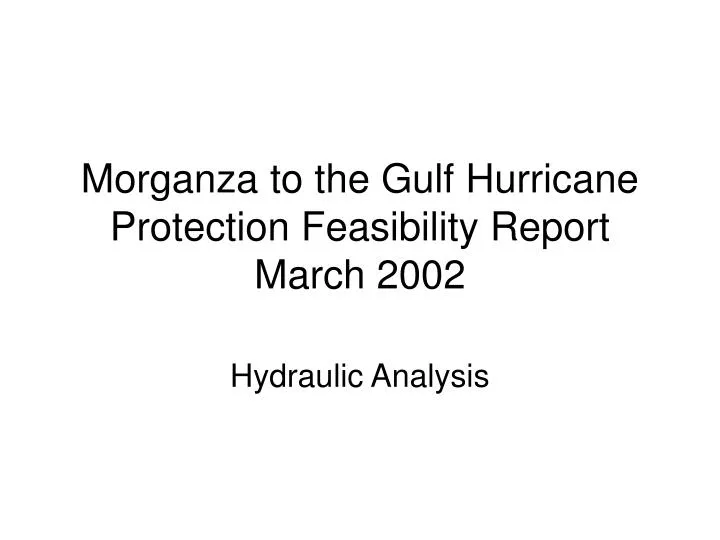 morganza to the gulf hurricane protection feasibility report march 2002
