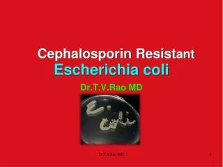 Cephalosporin Resist ant Escherichia coli