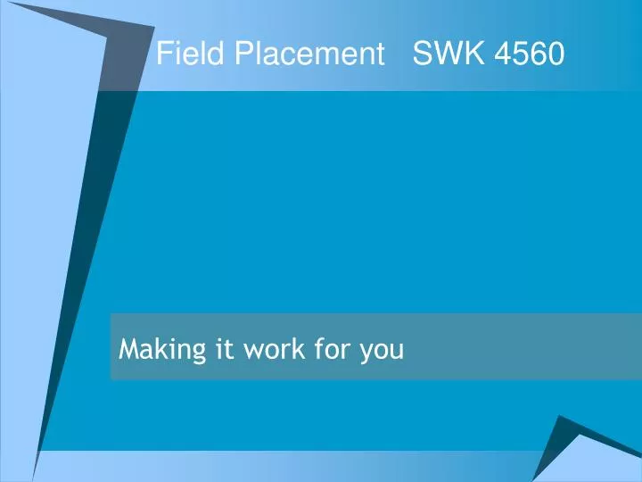 field placement swk 4560