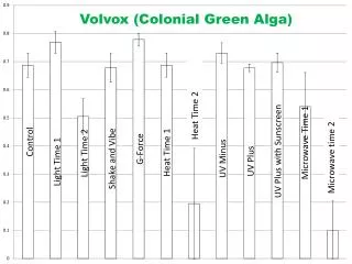 Volvox (Colonial Green Alga)