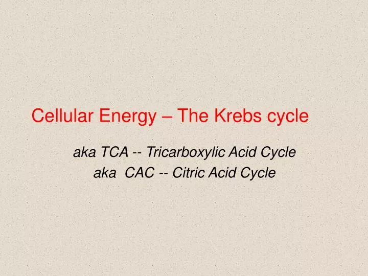 cellular energy the krebs cycle