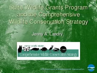State Wildlife Grants Program and the Comprehensive Wildlife Conservation Strategy