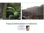 Impacts of Tropical Deforestation in Indonesia: A Presentation Overview - slide 1