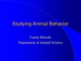 Studying Animal Behavior