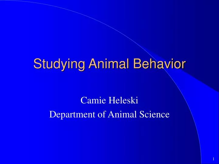 studying animal behavior