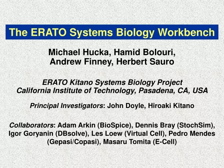 the erato systems biology workbench