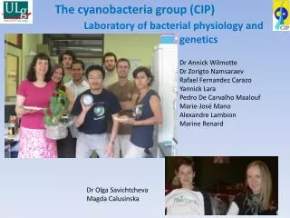 The cyanobacteria group (CIP)