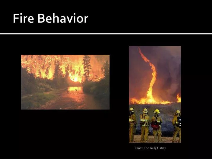 fire behavior