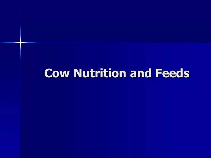 cow nutrition and feeds