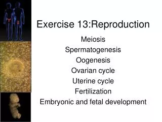 Exercise 13:Reproduction