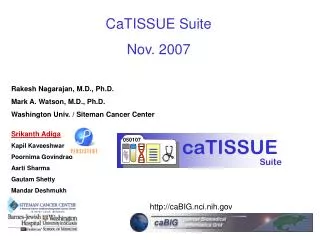 CaTISSUE Suite Nov. 2007