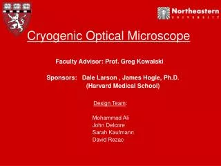 Cryogenic Optical Microscope
