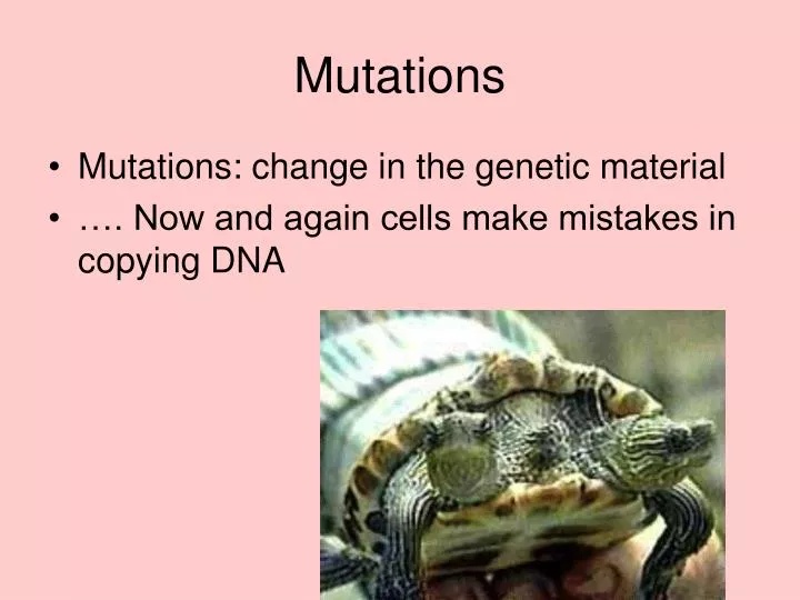 mutations