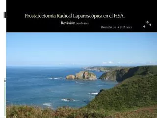 prostatectom a radical laparosc pica en el hsa