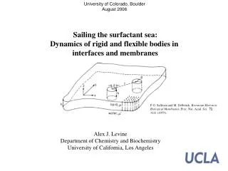 Sailing the surfactant sea: Dynamics of rigid and flexible bodies in interfaces and membranes
