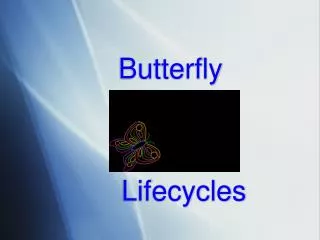 Ppt - Butterfly Abaya Uk (1) Powerpoint Presentation, Free Download 