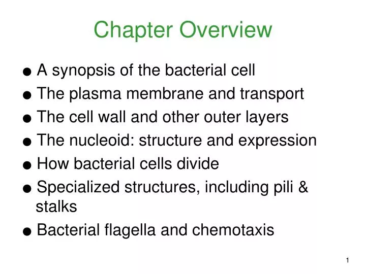 chapter overview