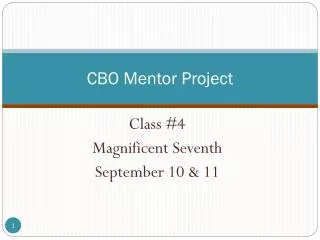 CBO Mentor Project