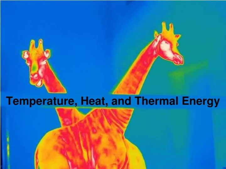 temperature heat and thermal energy