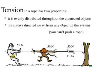 Tension in a rope has two properties: * it is evenly distributed throughout the connected objects