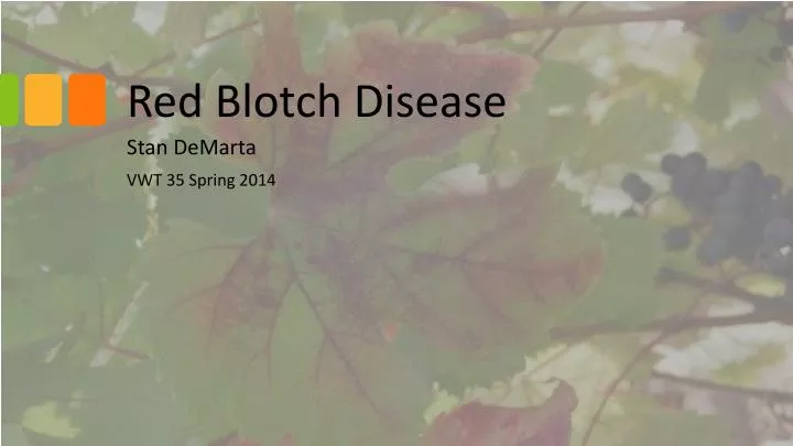 red blotch disease