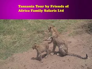 Tanzania Tour by Friends of Africa Family Safaris Ltd