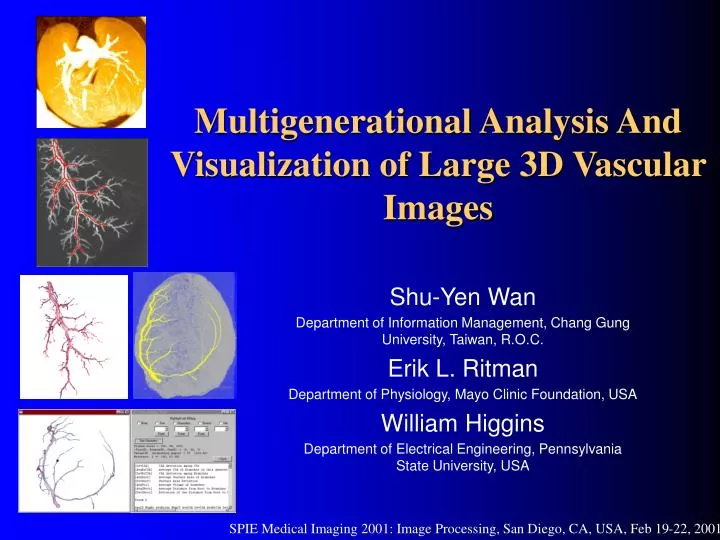 multigenerational analysis and visualization of large 3d vascular images