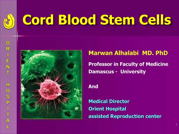 cord blood stem cells