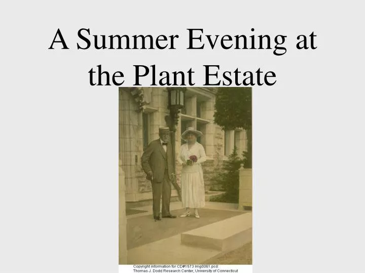 a summer evening at the plant estate