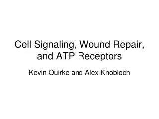 Cell Signaling, Wound Repair, and ATP Receptors