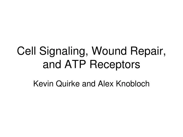 cell signaling wound repair and atp receptors