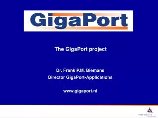 The GigaPort project