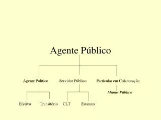 agente p blico